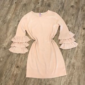 Blush Ruffle Sleeve Knit Dress